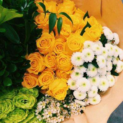 博鱼综合体育APP